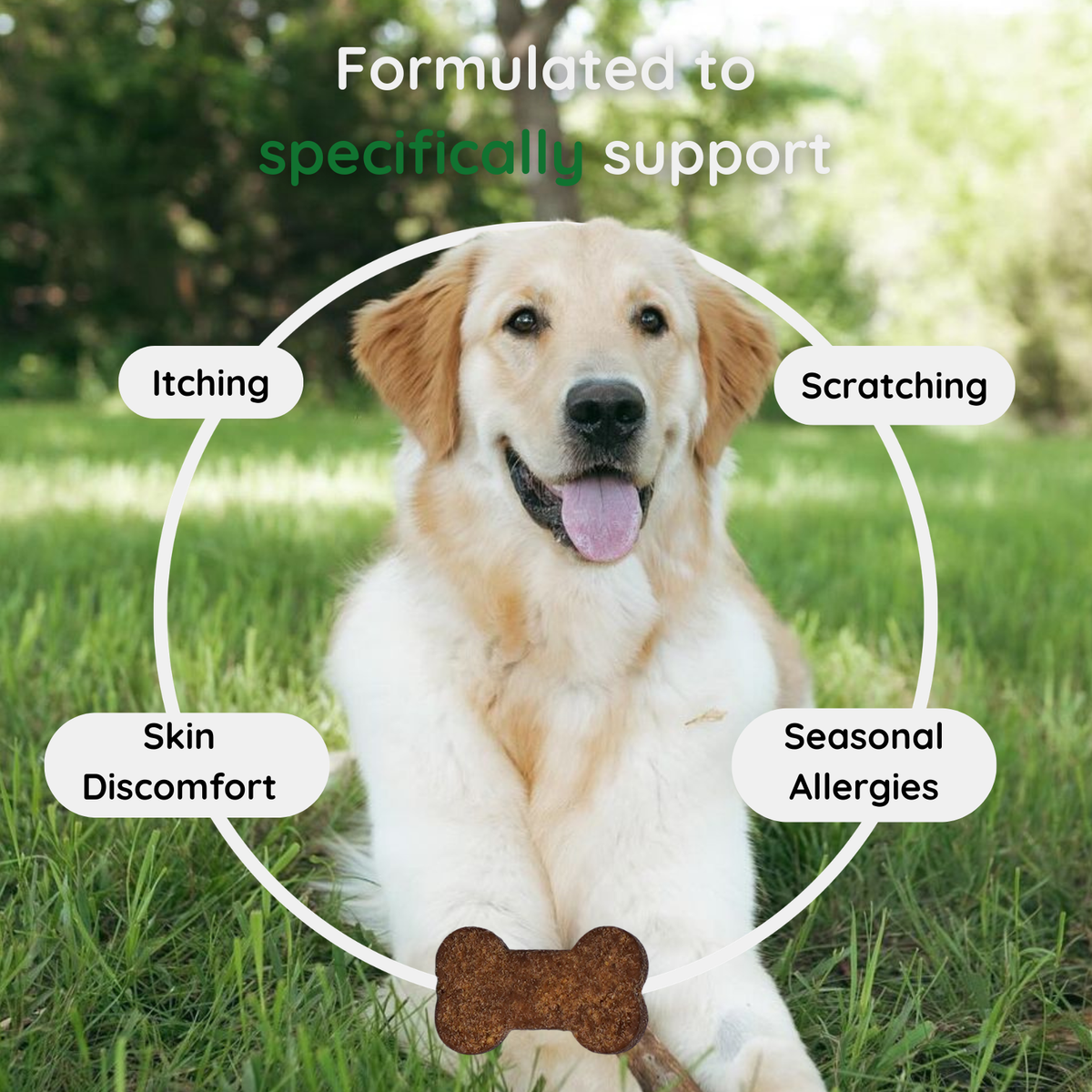 Itch & Allergy Relief Chews