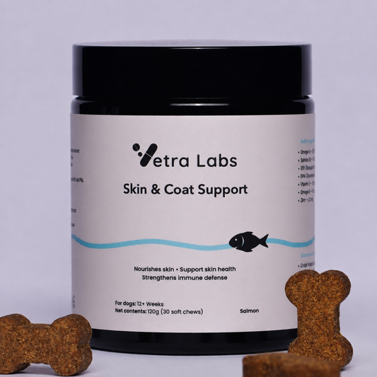 Skin & Coat Support Chews